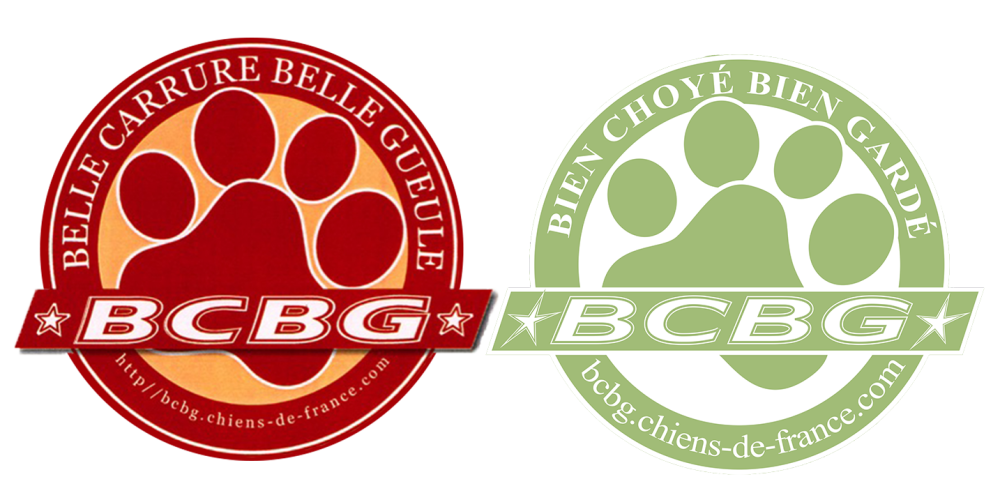 logos duo